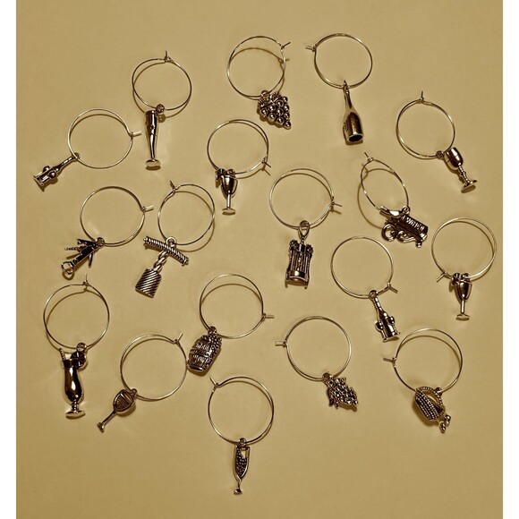 Silver Wine Themed Pendant Stemware Drink Charms Markers Set of 6 Assorted - Picture 1 of 6